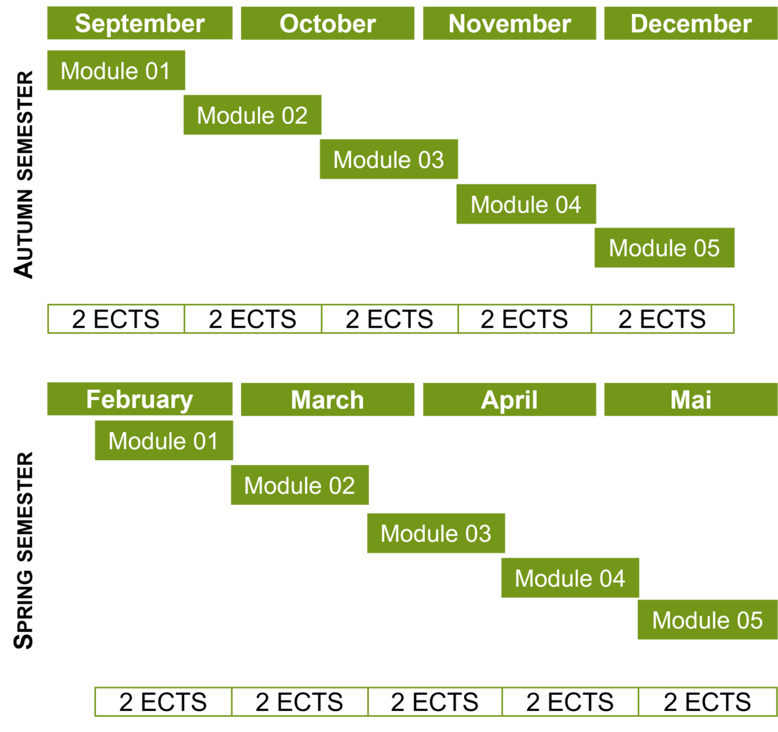 Chart representing the study load over the semesters
